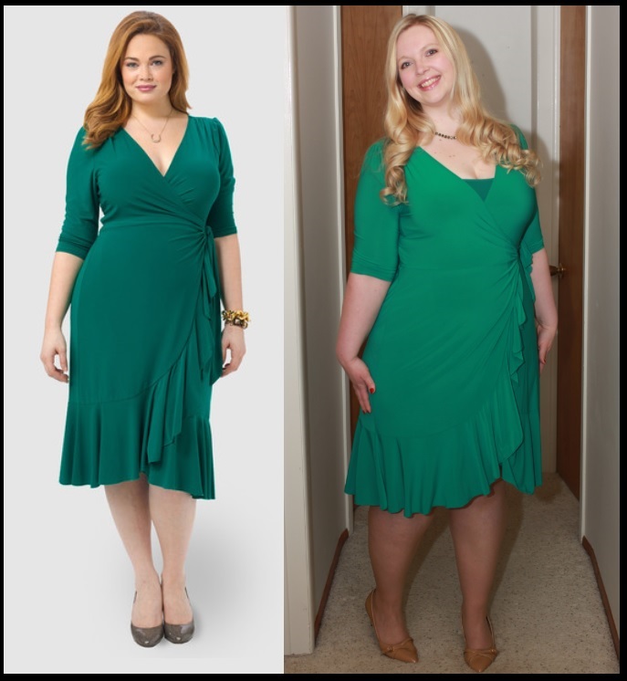 kiyonna whimsy wrap dress